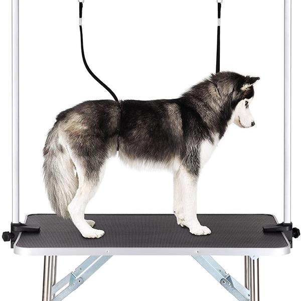 Pet Dog Grooming Table Gentle Paws