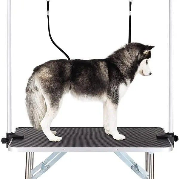 Pet Dog Grooming Table Gentle Paws